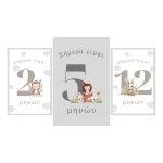 milestone-cards-kartes-brefikis-anaptiksis-moro-neogennito-gkri-unisex-dora-loops